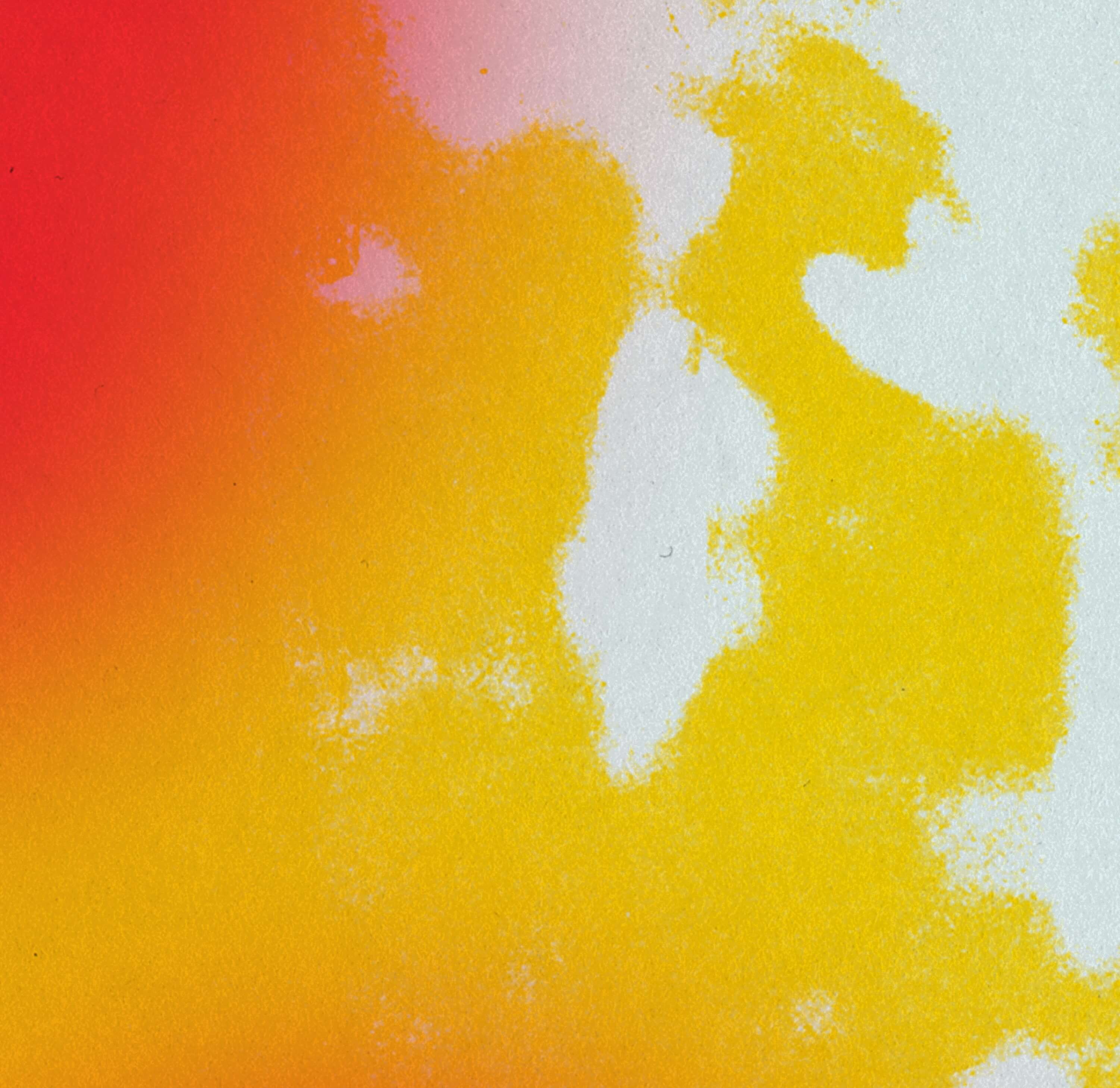 Havana Club Grounds Events